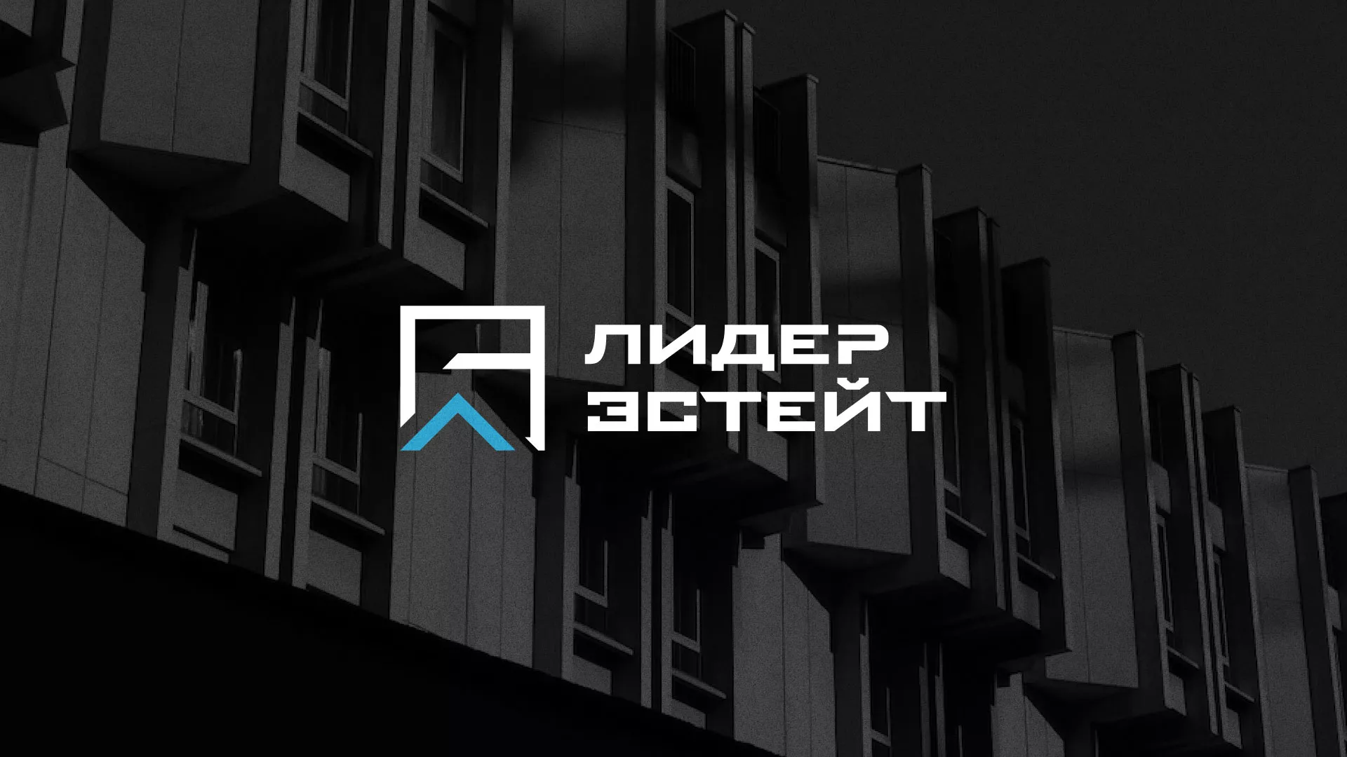 Разработка логотипа агентства недвижимости «Лидер Эстейт» в Миллерово