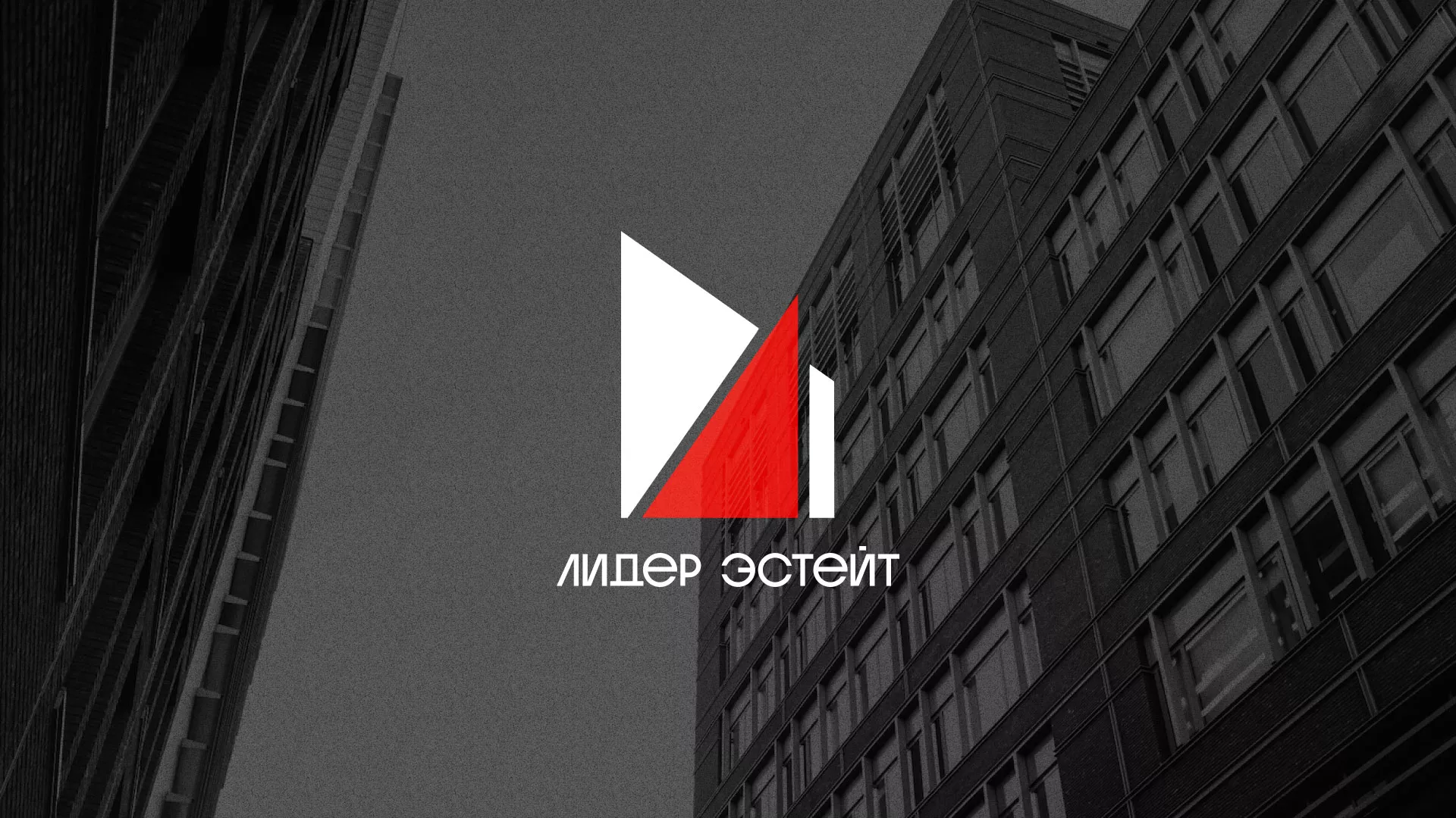 Сделали логотип для агентства недвижимости «Лидер Эстейт» в Миллерово